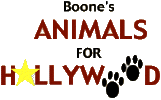 Boone's Animals